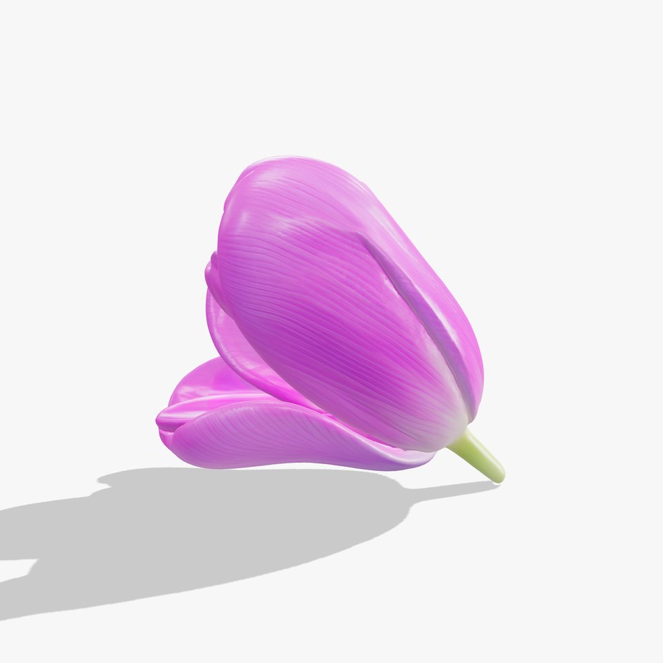 Purple Tulip Petals Detailed 3D Model Pack
